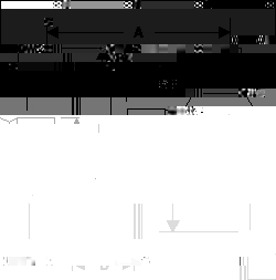 U-Joint-Drawing--1b.jpg